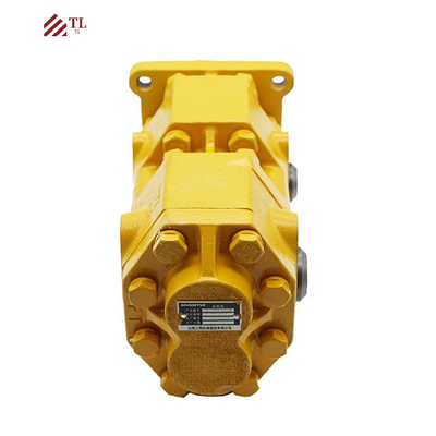 Shantui Bulldozer SD16 Customer Required Duplex Pump 16T-70-10000 with Solenoid Valve